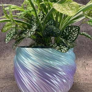 Puede incluir: Una planta decorativa en una maceta con remolinos azules y morados. La maceta tiene un acabado brillante y un diseño texturizado y acanalado. La planta tiene hojas verdes y blancas moteadas.