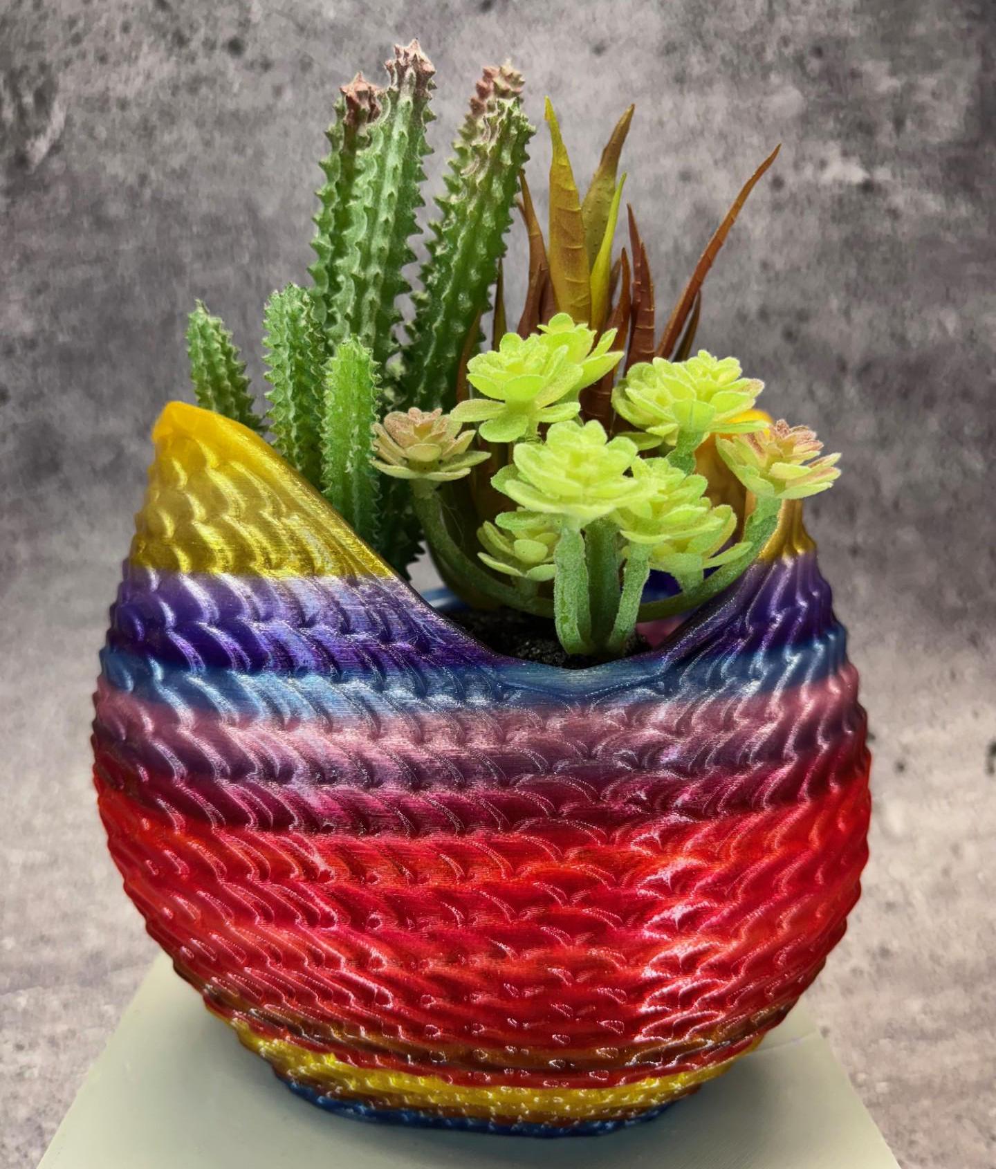 Mermaid tail cactus - Etsy.de