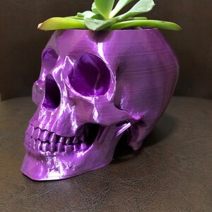 May include: A purple skull-shaped planter with a small succulent plant growing inside.