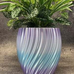 May include: A decorative plant pot with a swirling design in shades of purple and blue. The pot holds a green plant with white speckled leaves. The pot has a smooth, glossy finish and is designed to hold a small plant.