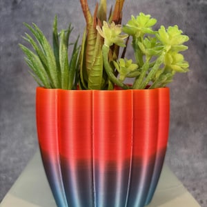 Puede incluir: Una maceta de color rojo y azul degradado con un diseño ondulado, llena de diferentes suculentas verdes.