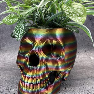 Vaso a forma di teschio extra large per piante grasse, cactus o qualsiasi pianta (colore arcobaleno) - 7,5" di larghezza x 12" di profondità x 7" di altezza