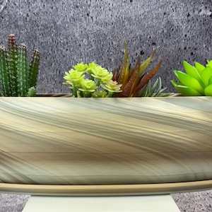 Puede incluir: Una jardinera oblonga decorativa con un diseño en espiral de color marrón claro. La jardinera contiene una variedad de suculentas, incluyendo un cactus verde, flores de color amarillo verdoso y una suculenta verde brillante. La jardinera se asienta sobre un platillo a juego.