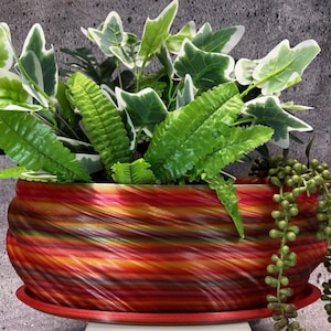 Op de afbeelding: Een kleurrijke, gestreepte plantenpot met een draaiend patroon in tinten rood, oranje, geel en groen. De pot is gevuld met groene bladplanten, waaronder varens en klimop.