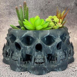 以下が含まれることがあります： 複数の頭蓋骨がボウル状に組み合わされた黒い頭蓋骨のプランター。プランターには緑と茶色の多肉植物が植えられています。