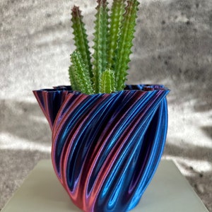 Op de afbeelding: Een blauwe en paarse, iriserende 3D-geprinte plantenpot met een vetplant erin.