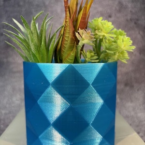 Può includere: Un vaso geometrico blu con un motivo a rombi che contiene tre diversi tipi di piante grasse artificiali. Le piante grasse sono verdi, marroni e gialle.