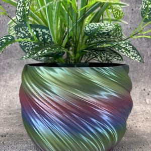 May include: A decorative plant pot with a swirling design in shades of green, red, and blue. The pot holds a vibrant green plant with white-speckled leaves. The pot's unique texture and color gradient add visual interest to the plant.