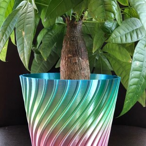 5.875 Diameter by 4.25 Tall Medium Flower Pot for Plants of all kinds 5.875 Diameter by 4.25 Tall Medium Flower Pot for Plants of all kinds