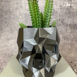 May include: A geometric skull-shaped planter in shades of gray holds a green and red-tipped succulent plant. The planter has a faceted design, creating a modern, edgy aesthetic. The plant adds a natural contrast to the metallic tones of the planter.