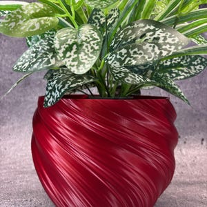May include: A vibrant red, spiral-textured planter pot holds a lush green plant with speckled leaves. The pot's design features a continuous, flowing pattern, creating a modern aesthetic. The plant's leaves have a mix of green and white spots.