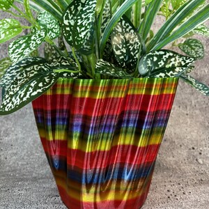 May include: A colourful, striped, wavy, ceramic planter with a green plant inside. The planter has a red, yellow, green, blue, and purple colour scheme.