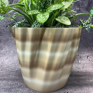 May include: A potted plant with green and white speckled leaves sits in a decorative beige and brown swirled planter. The planter has a unique, textured design, adding a touch of elegance to the plant.