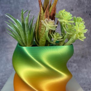 May include: A colourful, gradient planter with a swirling design. The planter is filled with a variety of green succulents.