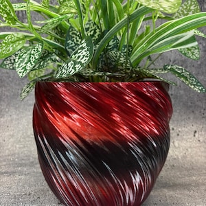 Puede incluir: Una maceta decorativa con un diseño en espiral en tonos rojos, negros y plateados. La maceta contiene una planta de interior con hojas verdes y blancas moteadas y hojas verdes rayadas. Un recipiente único y elegante.