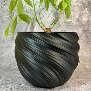 Puede incluir: Una maceta de cerámica negra con un patrón de remolino con una planta verde de hojas.