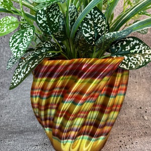 May include: A colorful, striped, 3D printed planter with a swirling design. The planter is filled with a green plant with white speckles on the leaves.