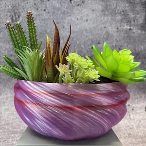Mittelgroßer flacher Twisted-Übertopf für Sukkulenten oder Cati (Wilde Orchidee Nadelstreifenfarbe) - 21 cm Durchmesser mal 9 cm hoch; Moderner Blumentopf; USA Shop