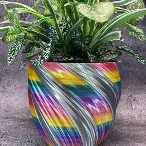 May include: A vibrant, rainbow-colored planter with a swirling design, holding a lush green plant with speckled leaves. The planter's colors transition from red to yellow, blue, and purple, complemented by silver stripes. A decorative item for home decor.