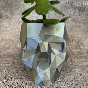 May include: A silver geometric skull planter with a small green succulent plant growing inside.