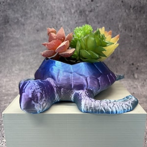 May include: A 3D-printed turtle-shaped planter featuring a gradient of blue and purple colors. The shell of the turtle serves as a container for three small artificial succulent plants in shades of green, yellow, and reddish-pink.