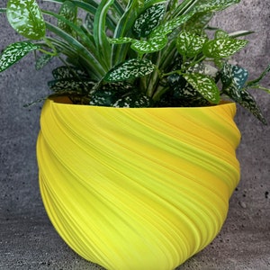 Puede incluir: Una maceta amarilla en forma de espiral con una planta verde con motas blancas que crece en su interior.
