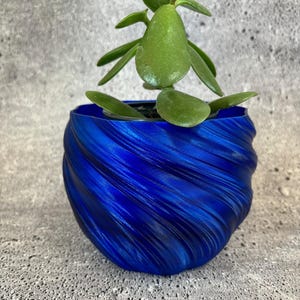 May include: A small, vibrant green succulent plant in a blue, swirled-patterned pot. The pot's design features a glossy, textured finish. The plant has thick, rounded leaves, and the pot is approximately 4 inches in diameter.