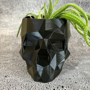 May include: A black geometric skull-shaped planter with a green succulent plant growing inside.