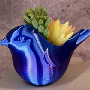 May include: A blue bird-shaped planter with a succulent plant inside. The planter is made of a smooth, shiny material and has a realistic bird design.