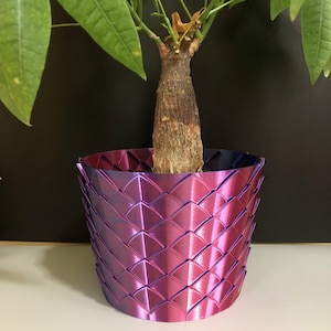 May include: A decorative, woven-patterned planter in shades of purple and pink, holding a small tree with green leaves. The planter has a unique, textured design, adding a modern touch to the plant. The plant's trunk is brown and the leaves are green.
