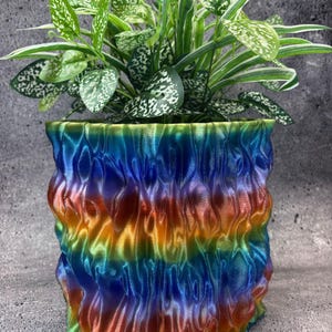 May include: A vibrant, rainbow-colored planter with a textured, wavy design. The planter holds a lush green plant with white-speckled leaves. The pot's colors transition from blue to orange and green.