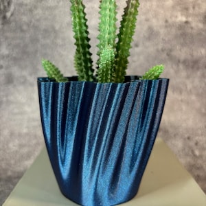 Op de afbeelding: Een kleine vetplant met groene stengels en rode toppen die groeit in een donkerblauwe, getextureerde, keramische pot.