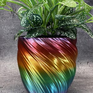 May include: A vibrant, rainbow-colored planter pot with a spiral design, holding a lush green plant with white-speckled leaves. The pot's colors transition smoothly from red to purple, creating a striking visual contrast with the plant's foliage.