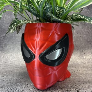 May include: A red planter shaped like a superhero mask with large black-rimmed eyes and silver lenses. The planter features a textured web-like pattern across the surface and contains a green plant with variegated leaves sprouting from the top.