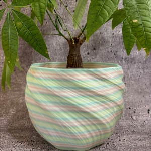 ユニークなプランター - あらゆる種類の植物用の大型植木鉢 (シルバー