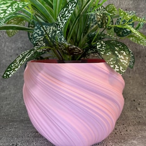 Puede incluir: Una maceta rosa con un diseño de remolino y textura. La maceta está llena de una planta verde con manchas blancas en las hojas.