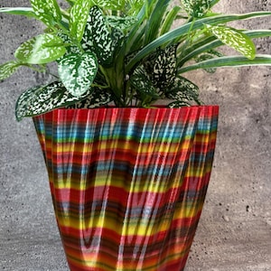 May include: A colorful striped planter with a wavy design. The planter is filled with green and white leafy plants.