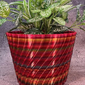 Op de afbeelding: Een rode, gele en groene gestreepte plantenpot met een swirl-patroon. De pot is gevuld met een groene plant met witte stippen op de bladeren.