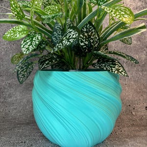 Puede incluir: Una maceta turquesa con un diseño de remolino y textura. La maceta está llena de una planta verde frondosa con variegación blanca.