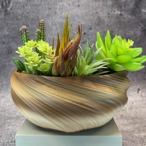 Mellanstor, grund, vriden kruka för suckulenter eller Cati (ljusa jordtoner) - 20 cm diameter och 8,5 cm höjd; Modern kruka; USA-butik