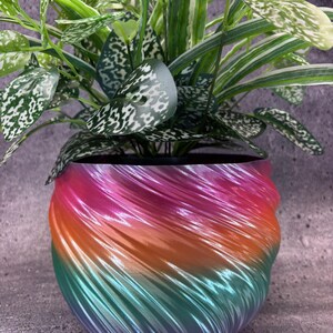 May include: A vibrant, multi-colored plant pot with a swirling design, holding a green and white spotted plant. The pot transitions from pink to orange to teal, creating a striking visual contrast. A decorative item for home decor.