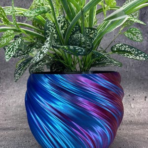 Op de afbeelding: Een levendige, 3D-geprinte plantenpot met een wervelend ontwerp in blauw, paars en rood. De pot bevat een groene plant met wit gespikkelde bladeren en lange, slanke groene bladeren. Het unieke ontwerp van de pot voegt een moderne touch toe.