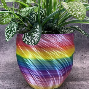 May include: A colourful planter pot with a spiral design, featuring a rainbow gradient. It holds a green plant with white-spotted leaves. The pot's colours transition from red to yellow to blue, creating a striking visual contrast.