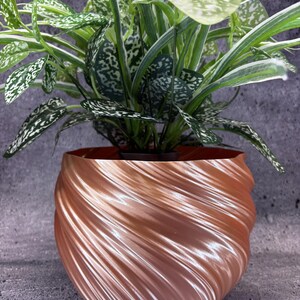May include: A metallic copper-colored planter with a distinct spiral, ribbed texture on its exterior surface. The round pot holds a lush, leafy green plant with variegated foliage featuring white and dark green patterns throughout the leaves.