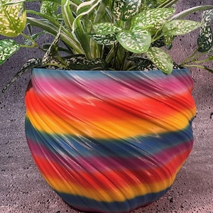 Puede incluir: Un macetero de espiral de arcoíris colorido con una planta verde en su interior. El macetero está hecho de un material liso y brillante y tiene un diseño único y abstracto.