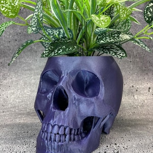 Extra Large Skull pot for Succulents, Cactus or any Plant - 6.5&quot;wide x 9.5&quot;deep x 6&quot;tall (Purple Starlight color)