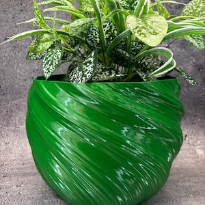 May include: A bright green, glossy, spiral-textured planter pot containing a houseplant. The plant has green and white speckled leaves and long, slender green and white striped leaves. The pot is a solid, bright green colour.