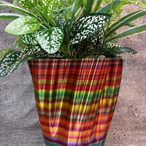 May include: A colorful, rainbow striped, wavy, ceramic planter with a green plant inside.