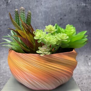 May include: A decorative succulent arrangement in a swirl-patterned, orange and peach-coloured pot. The arrangement includes various green and reddish-brown succulents and cacti. The pot sits on a light blue surface.
