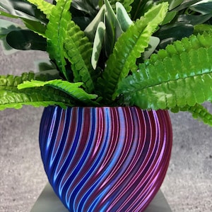 Op de afbeelding: Een tweekleurige plantenbak met een wervelend patroon, met een verloop van blauwe en magenta tinten. De plantenbak bevat weelderig, groen gebladerte, wat een opvallend contrast creëert. De pot heeft een diameter van ongeveer 15 cm en een hoogte van 13 cm.